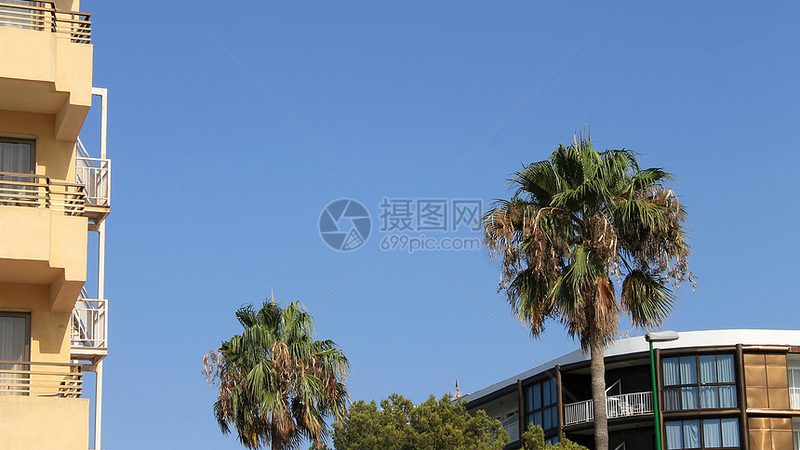 加盟酒店管理公司，如何规避潜在风险？**